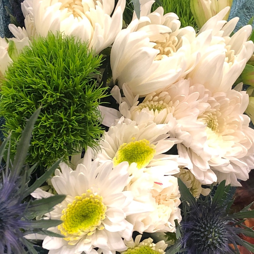 Meet your Posher, Tina